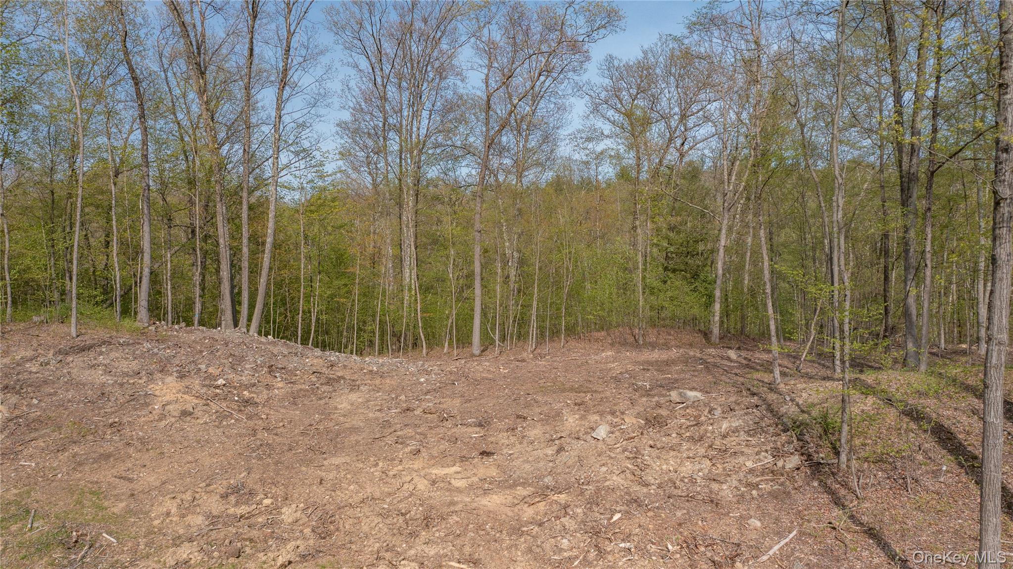 Feller Newmark Road Red Hook, NY 12571 - Photo 17 of 21 a view of a yard with trees