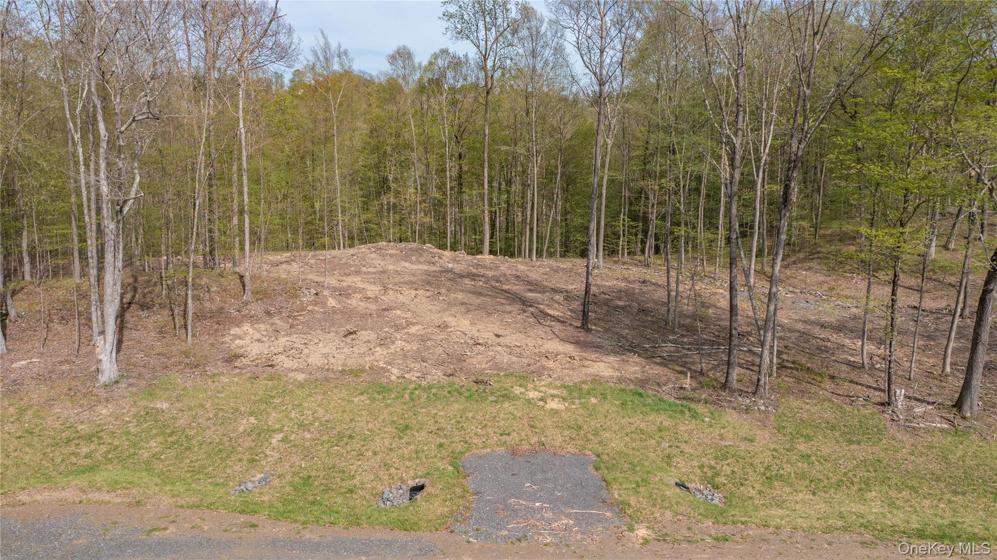 Feller Newmark Road Red Hook, NY 12571 - Photo 19 of 21 a view of a forest