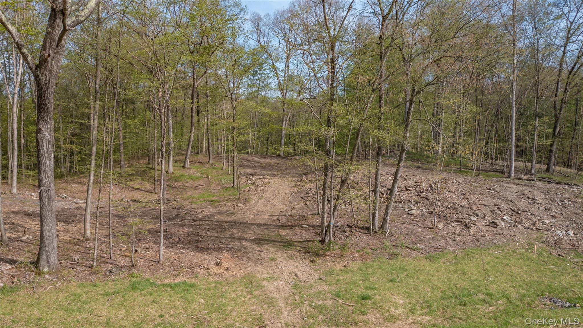 Feller Newmark Road Red Hook, NY 12571 - Photo 20 of 21 a view of a room with trees in the background