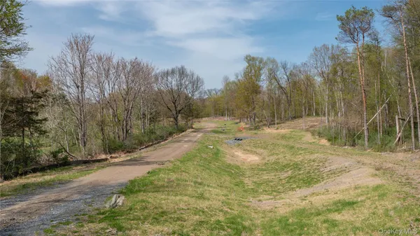 a view of a dry yard with trees