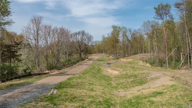 a view of a dry yard with trees