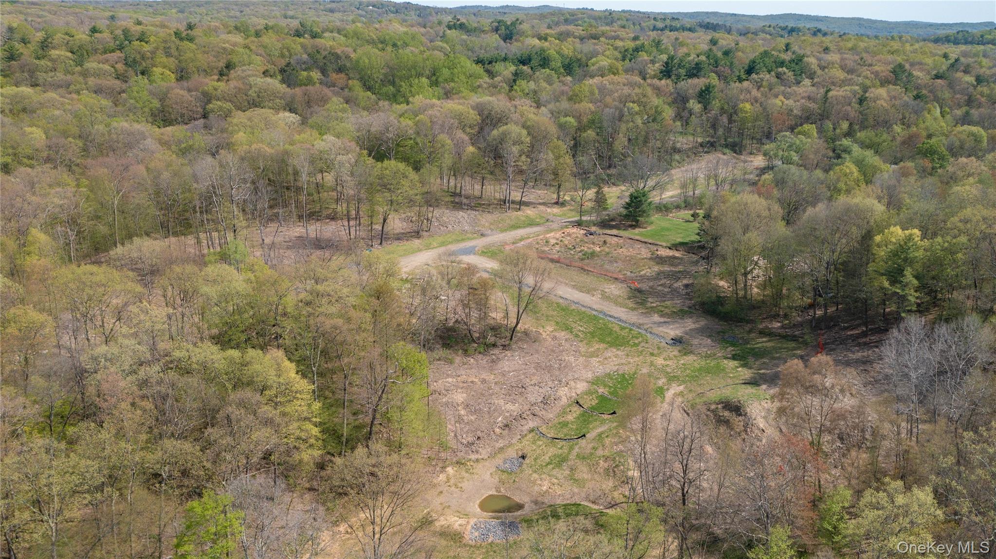 Feller Newmark Road Red Hook, NY 12571 - Photo 5 of 21 a view of a dry yard with trees