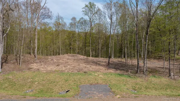a view of a backyard of the house