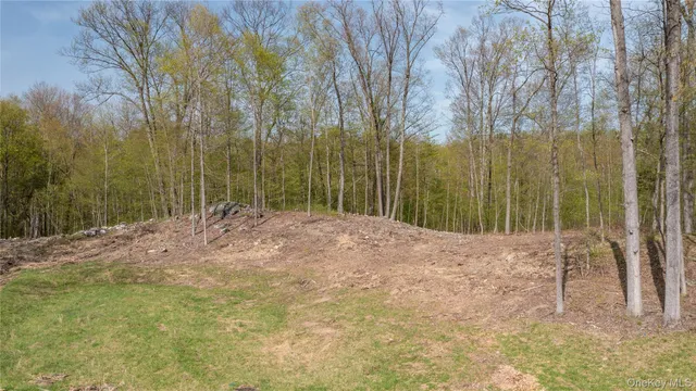 a view of outdoor space with trees