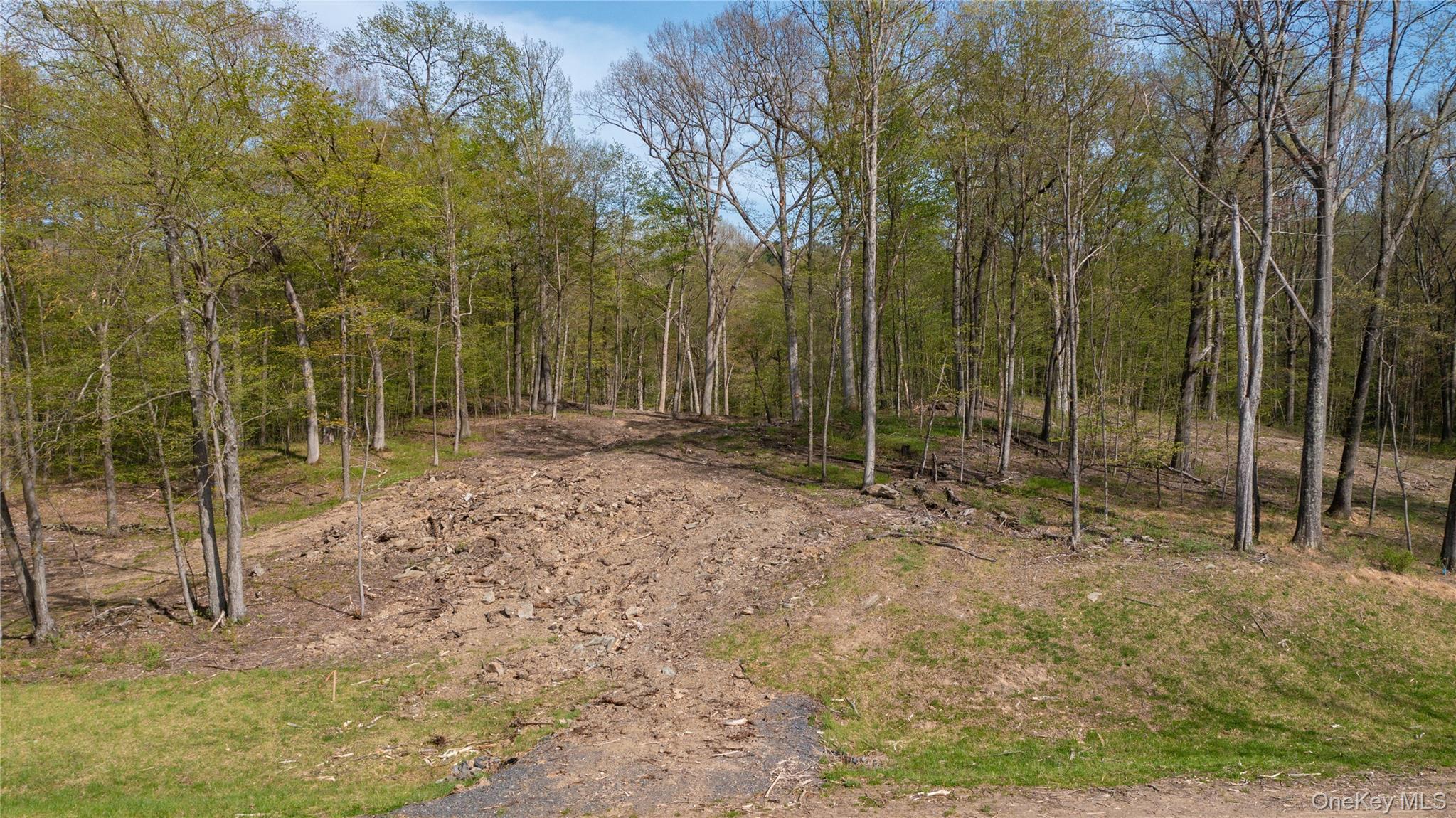 Feller Newmark Road Red Hook, NY 12571 - Photo 8 of 21 a view of outdoor space with trees