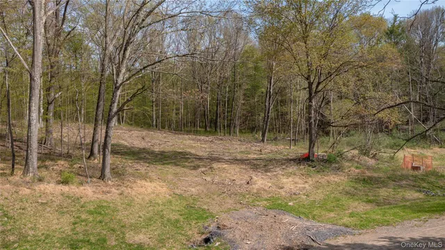 a view of a backyard with green space
