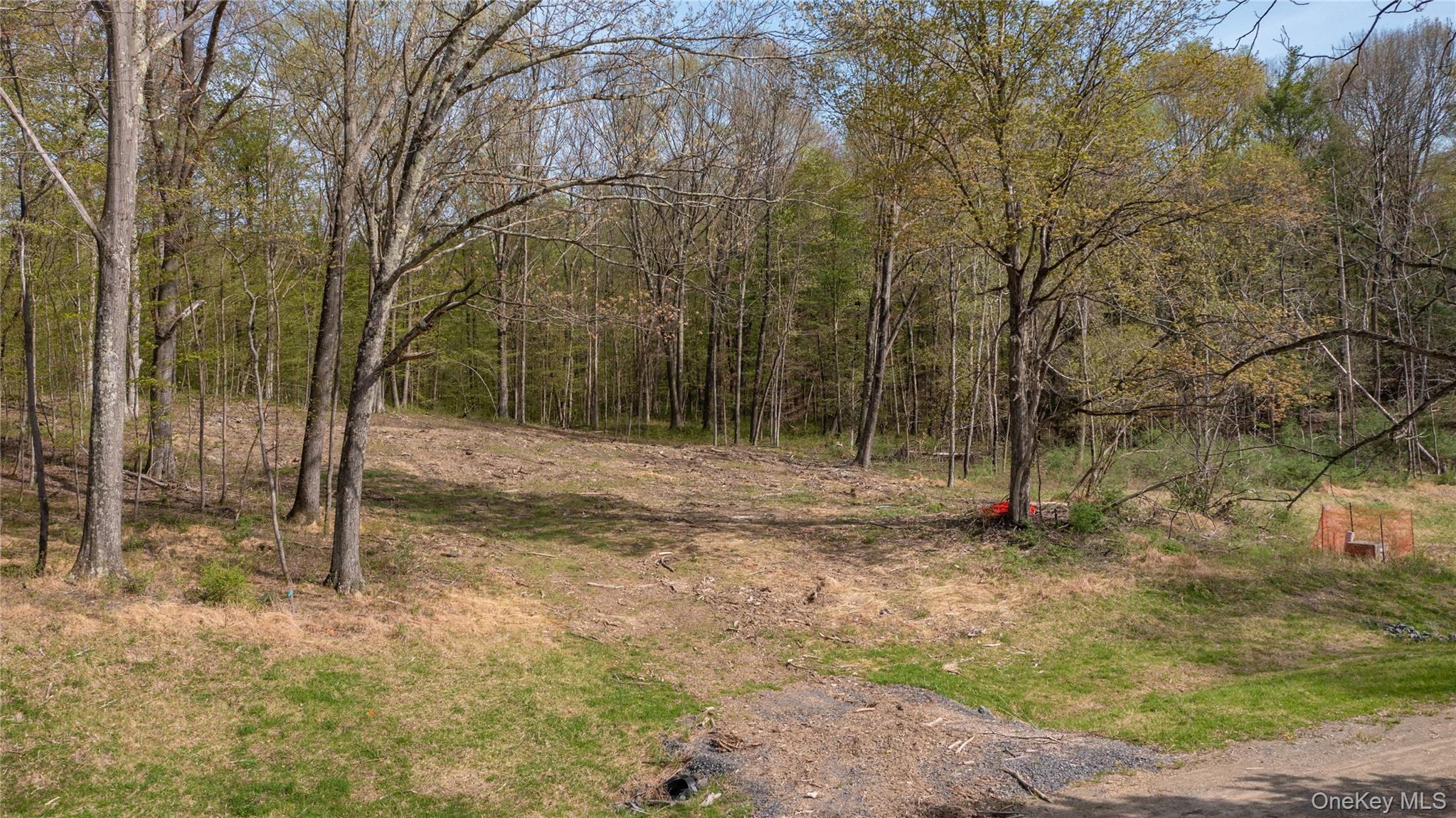 Feller Newmark Road Red Hook, NY 12571 - Photo 9 of 21 a backyard of a house with lots of green space