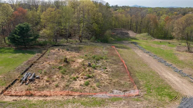 a view of a yard with a mountain