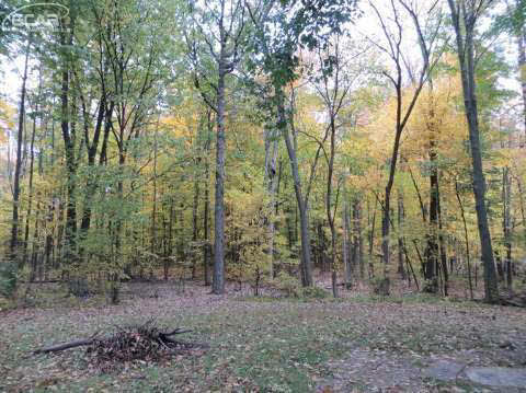 10181 Maple Road Birch Run, MI 48415 - Photo 8 of 10 20423111-7.JPG