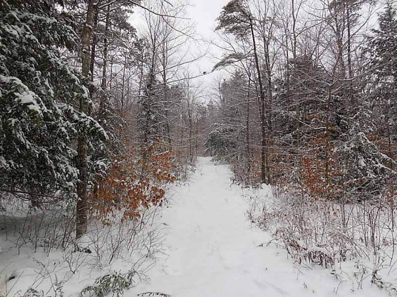 Lot #1 Off South Road Parsonsfield, ME 04047 - Photo 30 of 35 Land.