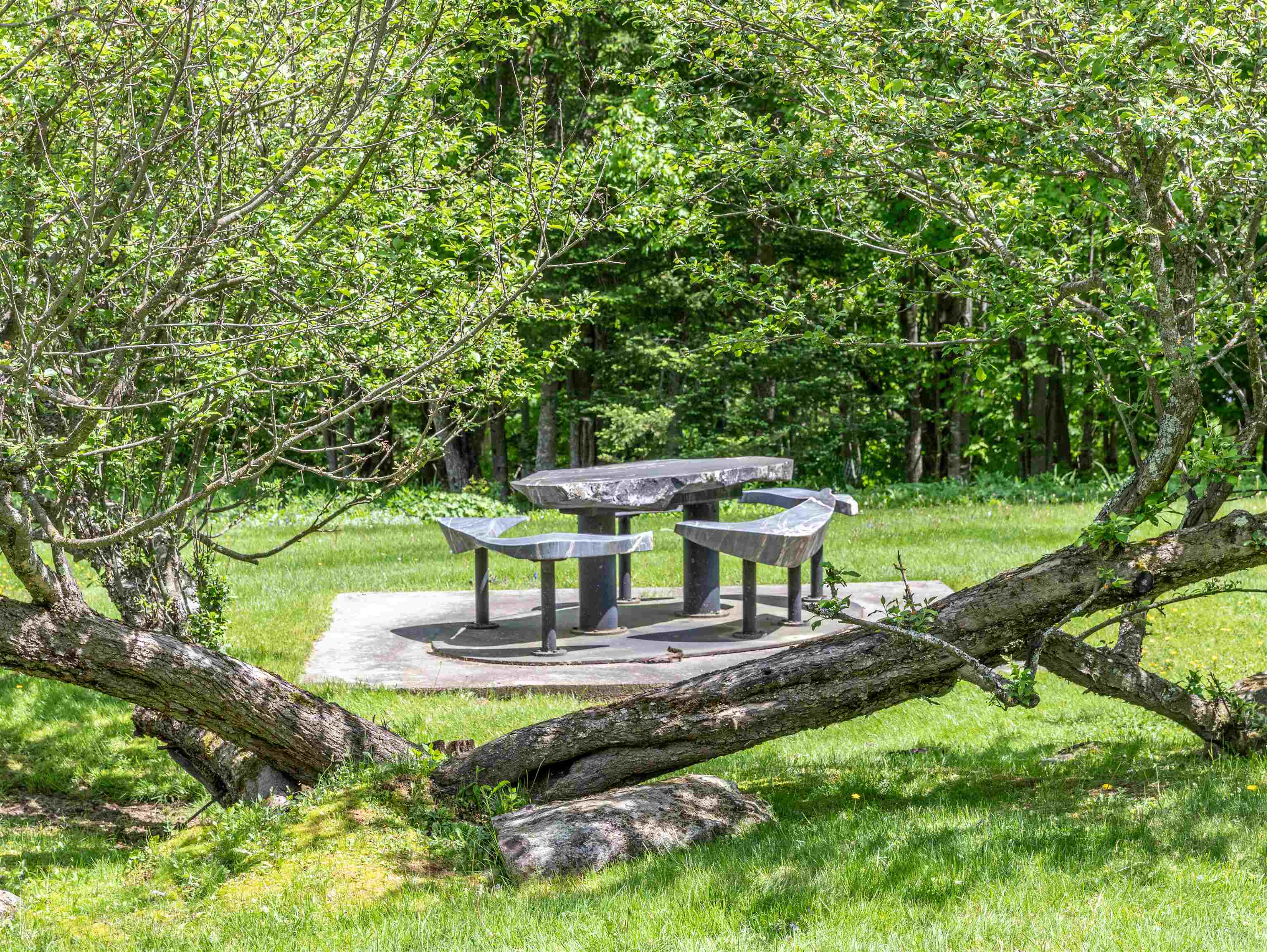 396 Ross Hill Road Morristown, VT 05661 - Photo 23 of 40 Gallery Image 23