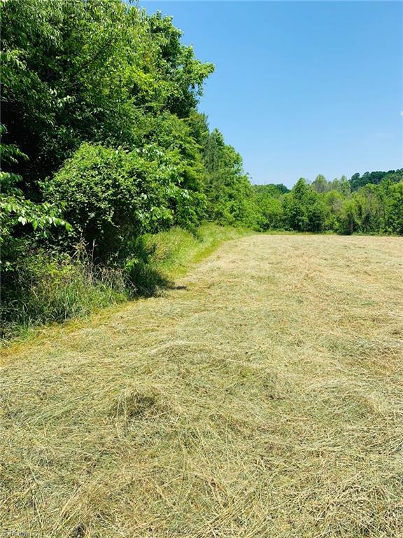 1023 Jake Shoaf Road Lexington, NC 27295 - Photo 2 of 5 Gallery Image 2