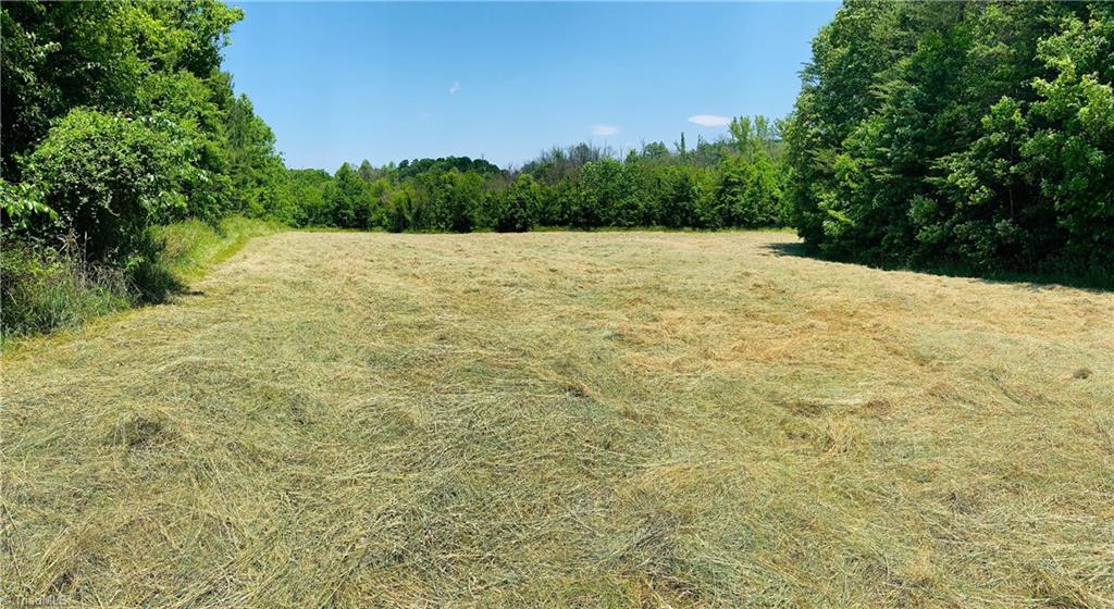 1023 Jake Shoaf Road Lexington, NC 27295 - Photo 3 of 5 Gallery Image 3