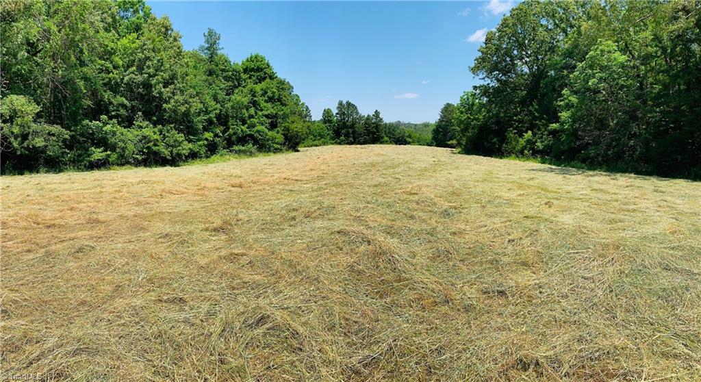 1023 Jake Shoaf Road Lexington, NC 27295 - Photo 4 of 5 Gallery Image 4
