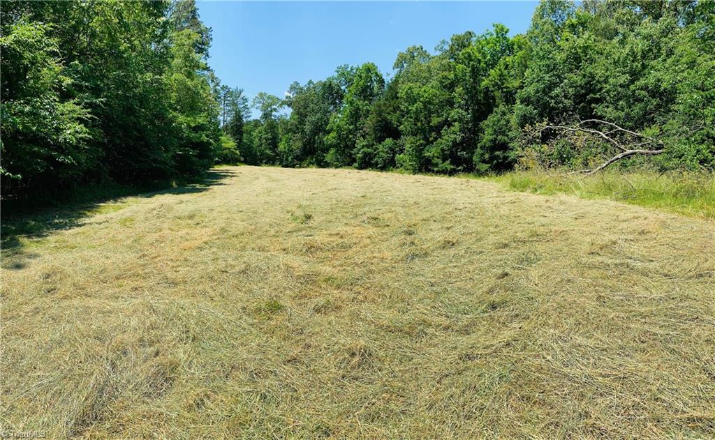 1023 Jake Shoaf Road Lexington, NC 27295 - Photo 5 of 5 Gallery Image 5