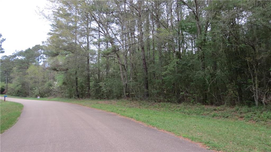 0 Camus Lane Covington, LA 70435 - Photo 7 of 7