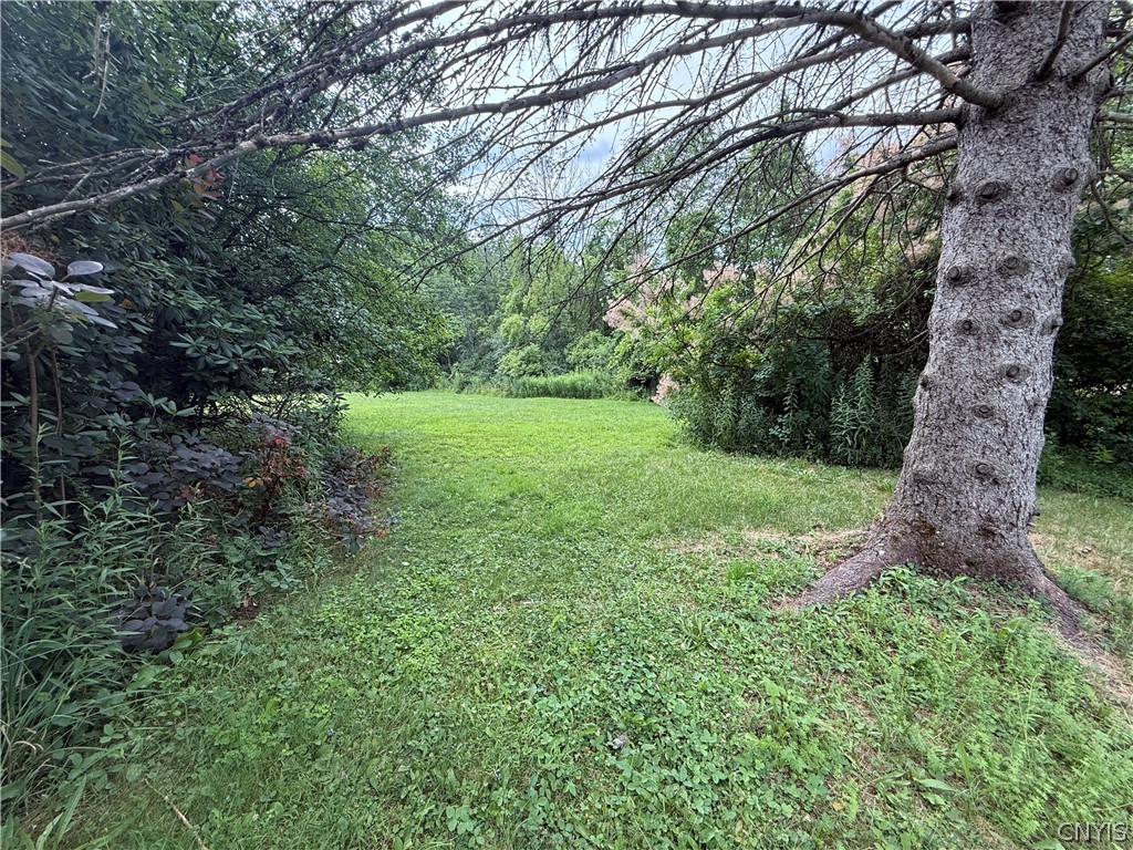Prescott Road Deerfield, NY 13502 - Photo 12 of 15