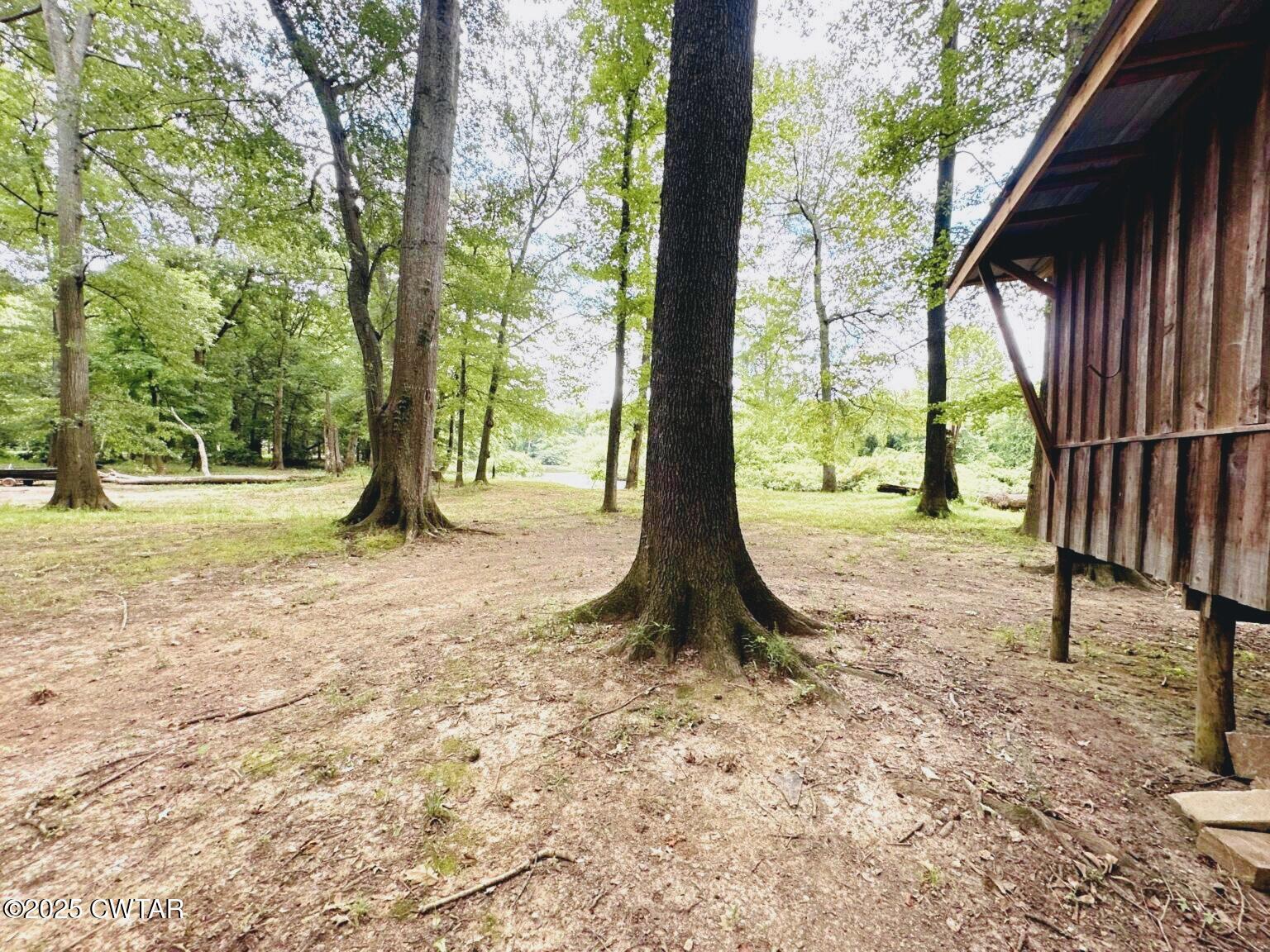 135 River Bend Road Brownsville, TN 38012 - Photo 3 of 14 a view of outdoor space with trees