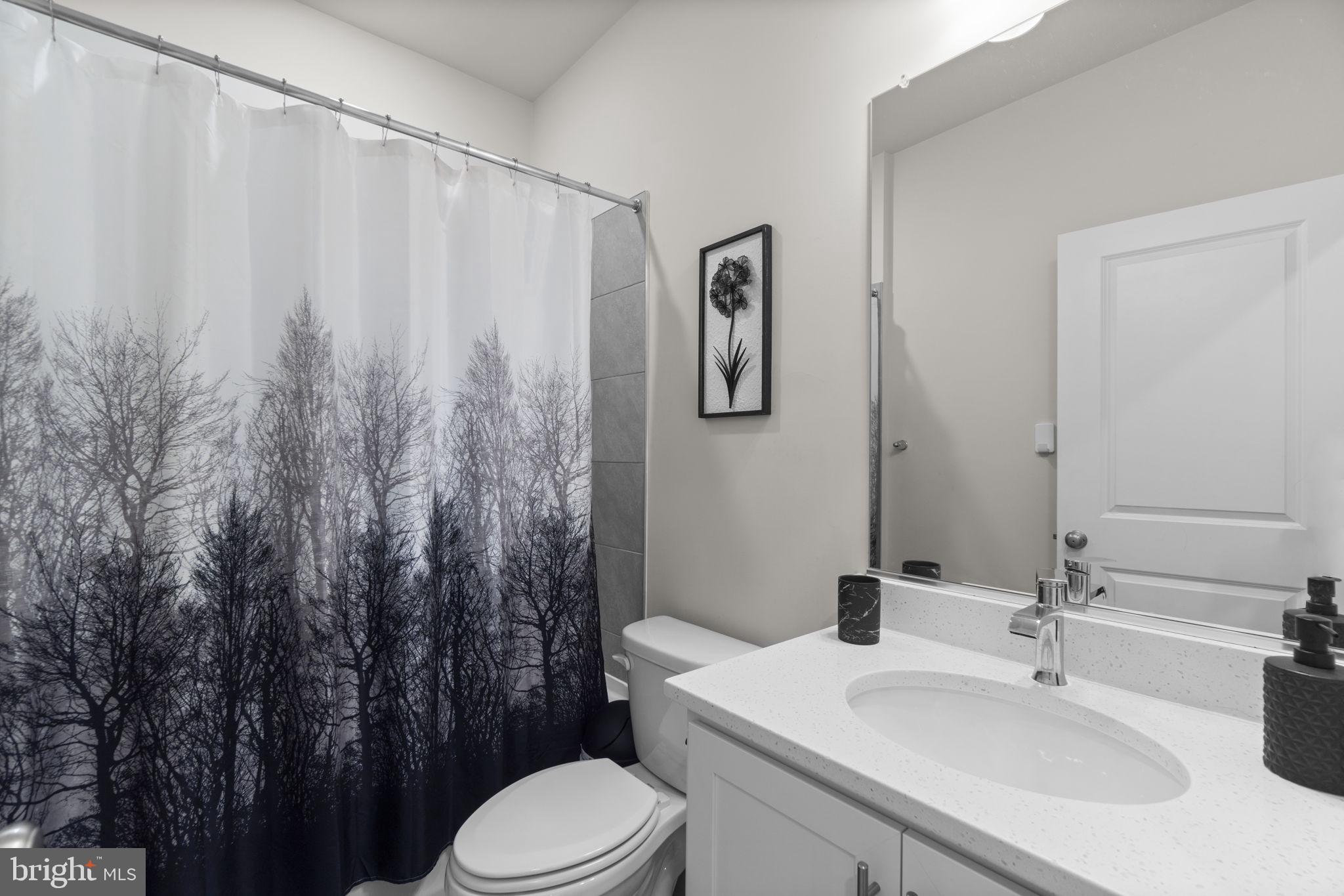 417 Union Street Frederick, MD 21701 - Photo 12 of 35 Serene bathroom with nature-inspired decor.