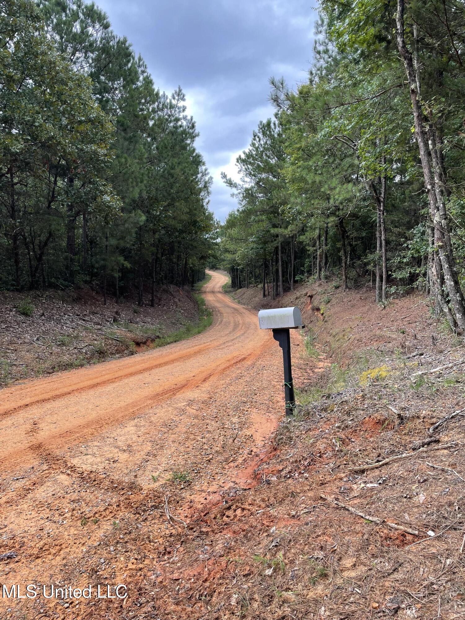 1501 Mooney Road Carthage, MS 39051 - Photo 12 of 15 IMG_0300