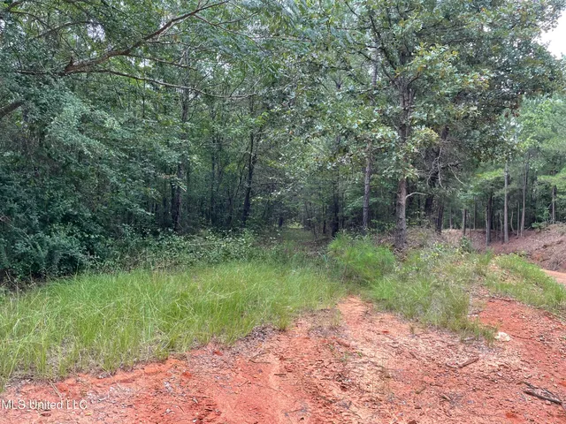 $137,600 | 1501 Mooney Road, Carthage, MS 39051