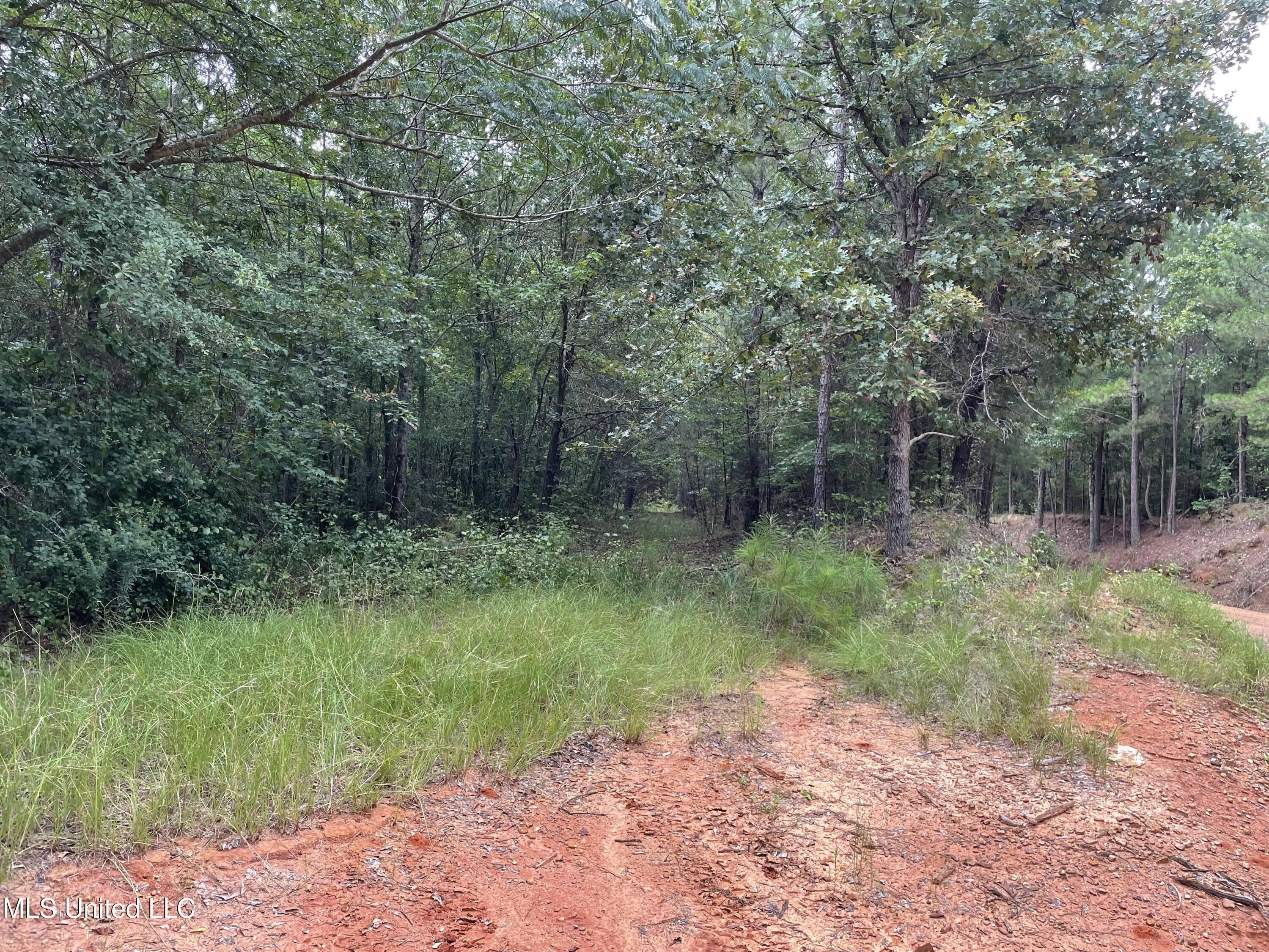 1501 Mooney Road Carthage, MS 39051 - Photo 13 of 15 IMG_0301