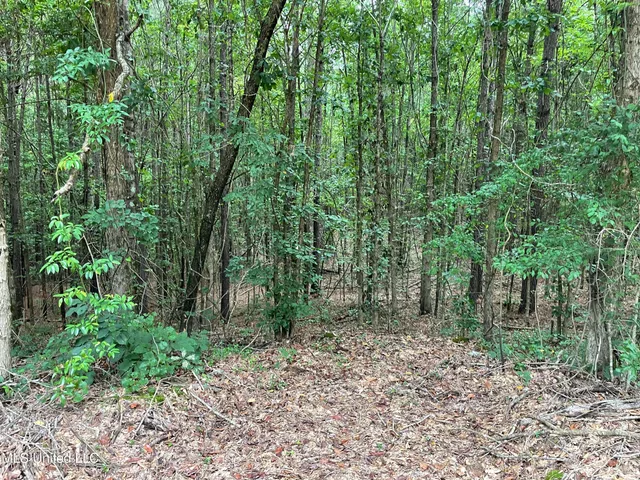 $137,600 | 1501 Mooney Road, Carthage, MS 39051