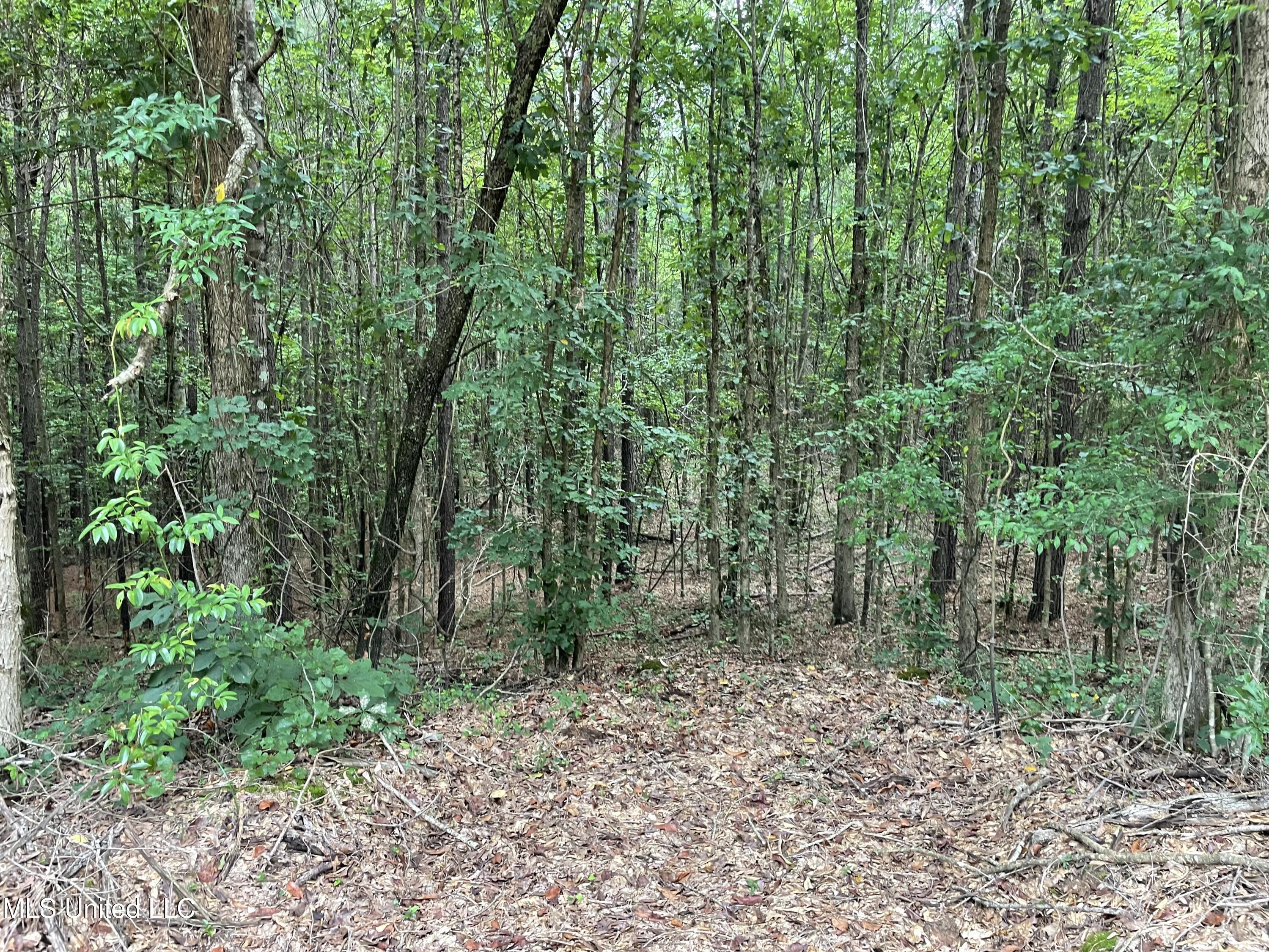 1501 Mooney Road Carthage, MS 39051 - Photo 15 of 15 IMG_0299