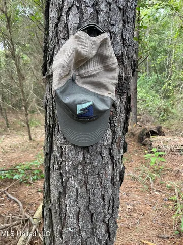 $137,600 | 1501 Mooney Road, Carthage, MS 39051