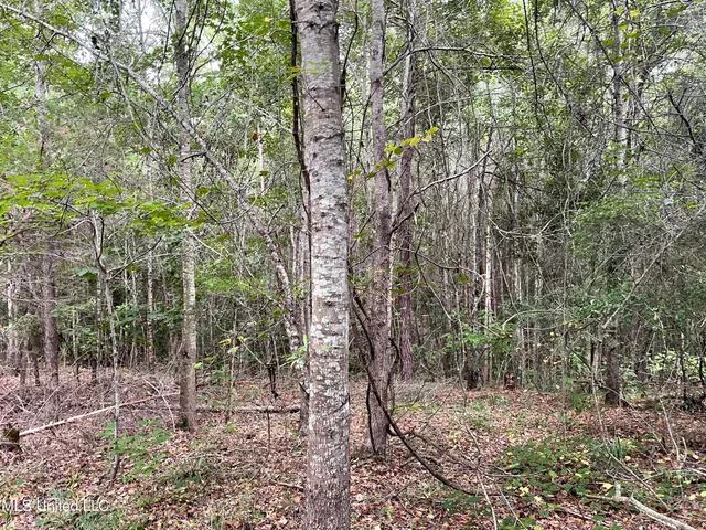 $137,600 | 1501 Mooney Road, Carthage, MS 39051