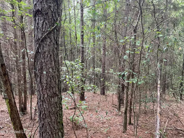 $137,600 | 1501 Mooney Road, Carthage, MS 39051