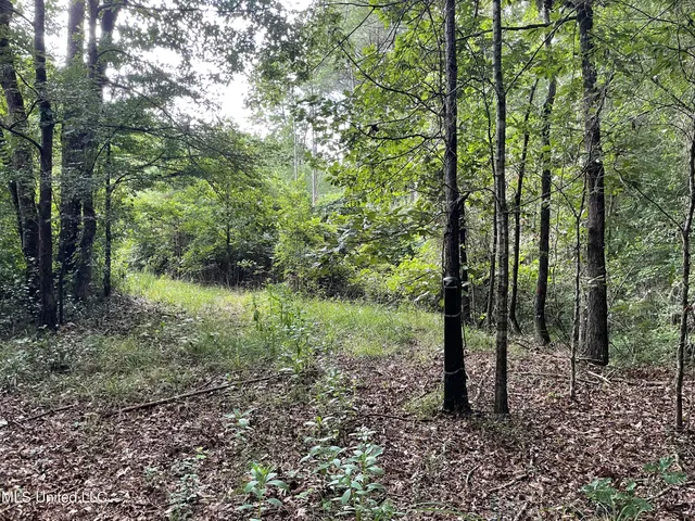 $137,600 | 1501 Mooney Road, Carthage, MS 39051