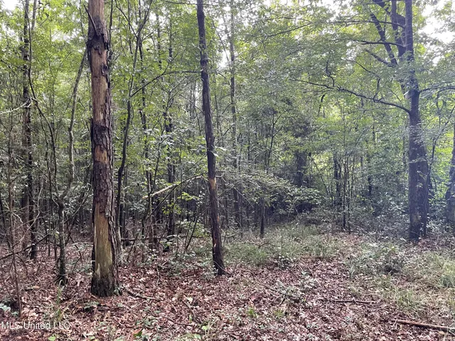 $137,600 | 1501 Mooney Road, Carthage, MS 39051