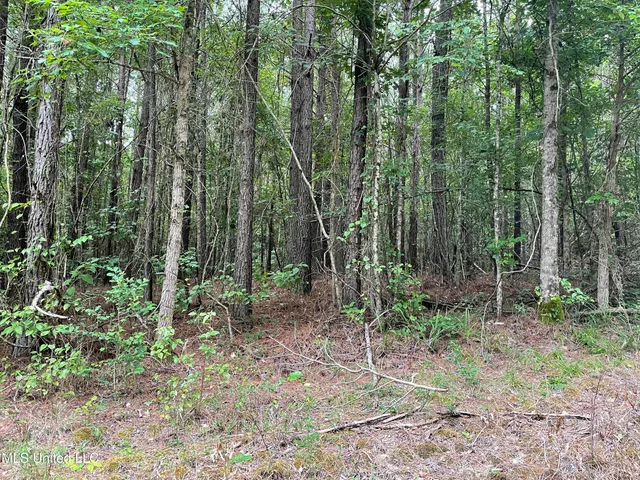 $137,600 | 1501 Mooney Road, Carthage, MS 39051