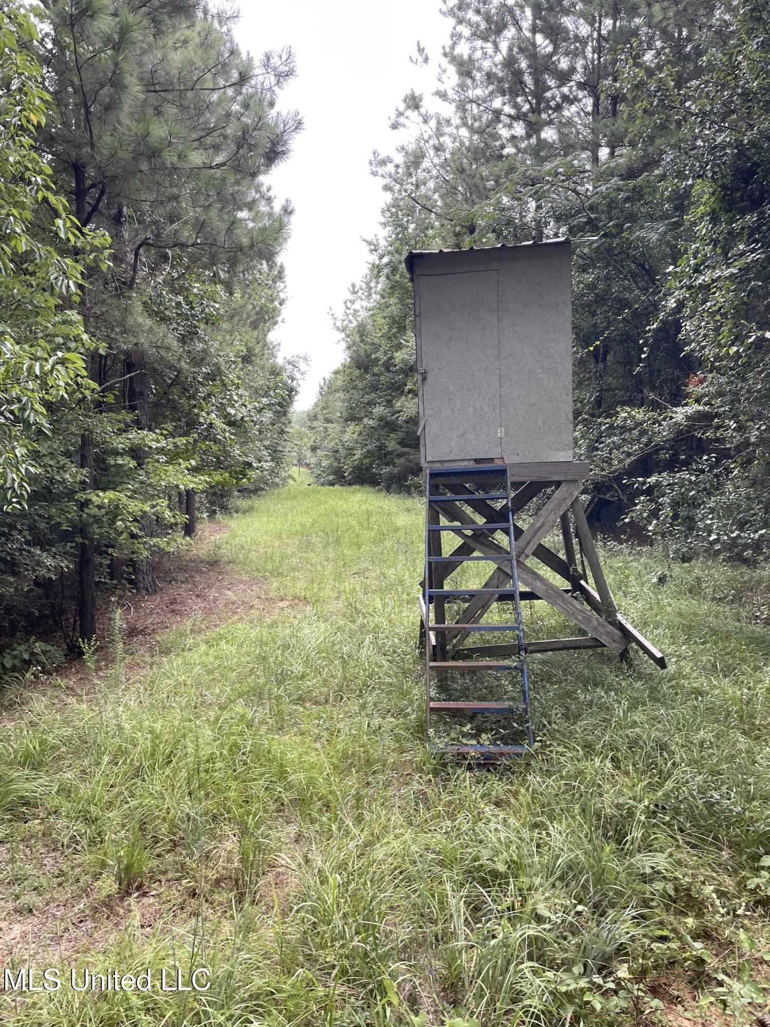 1501 Mooney Road Carthage, MS 39051 - Photo 9 of 15 IMG_0293