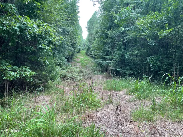 $137,600 | 1501 Mooney Road, Carthage, MS 39051