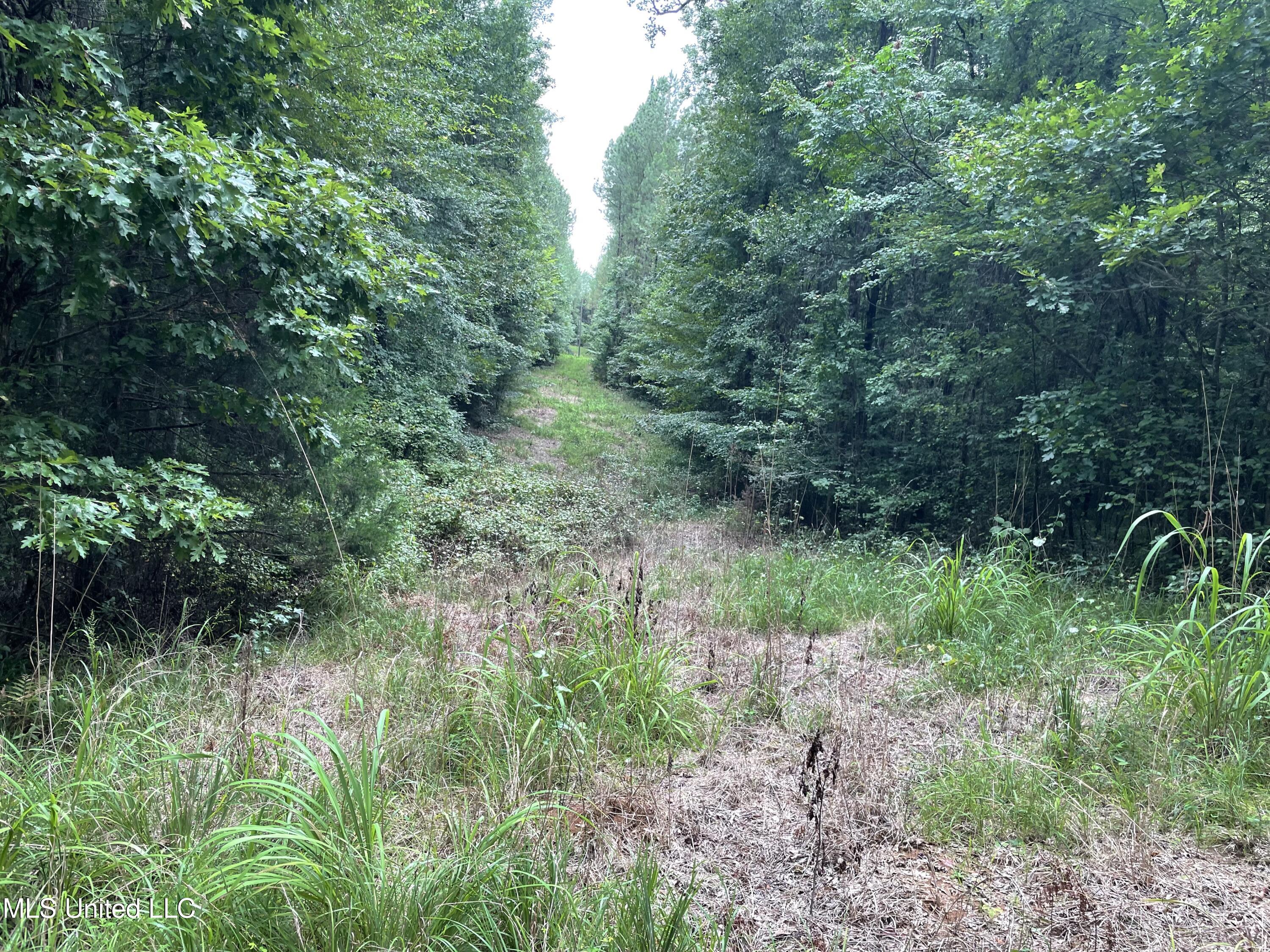 1501 Mooney Road Carthage, MS 39051 - Photo 10 of 15 IMG_0294