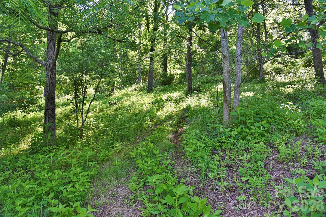 415 Weaverville Road Asheville, NC 28804 - Photo 13 of 47