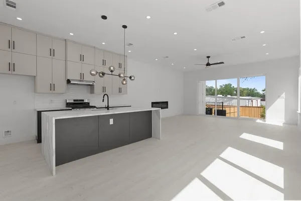 a view of a backyard with plants and large trees