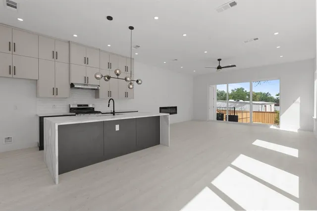 a view of a backyard with plants and large trees