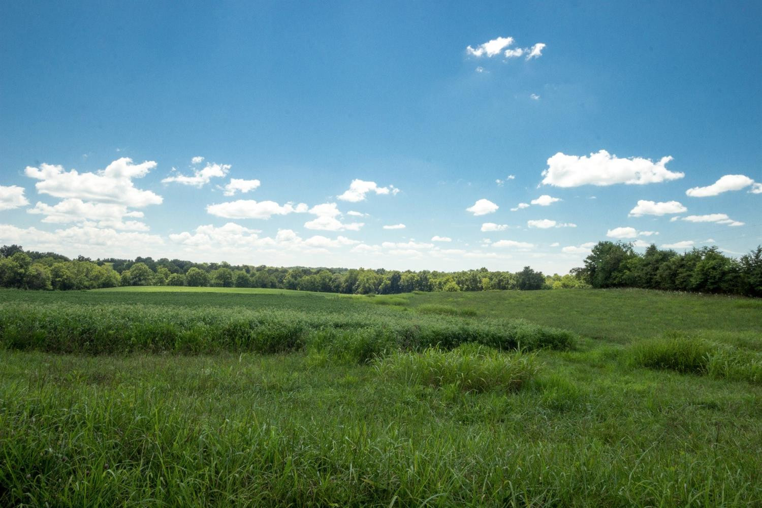 4360 Goshen Road Stanford, KY 40484 - Photo 11 of 72 Photo 11