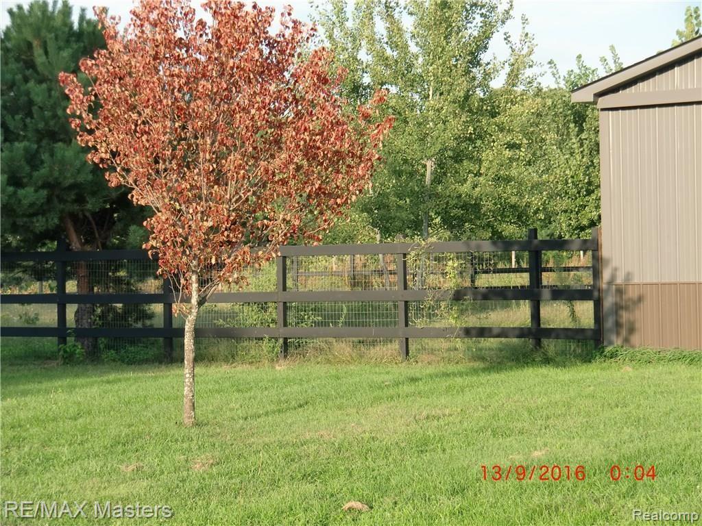 6633 Alcott Road Petersburg, MI 49270 - Photo 5 of 34 CIMG3533.JPG