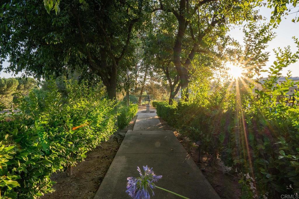 41965 Mesa Verdugo Temecula, CA 92592 - Photo 29 of 68 a view of a pathway both side of yard