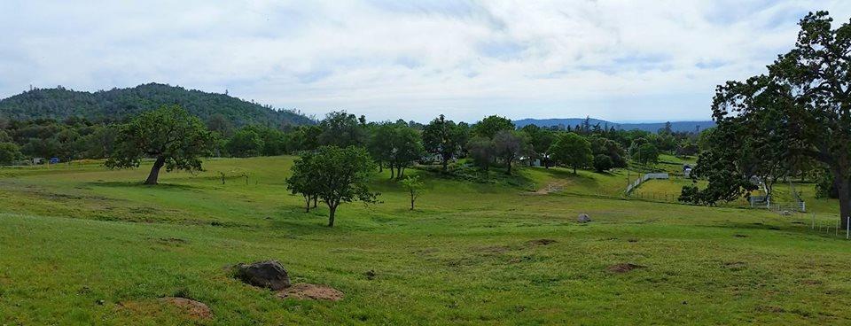 44691 Foxtail Road Coarsegold, CA 93614 - Photo 11 of 60 Gallery Image 11