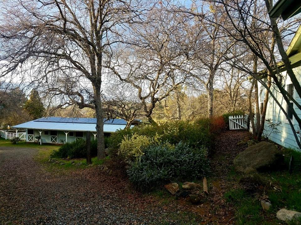 44691 Foxtail Road Coarsegold, CA 93614 - Photo 15 of 60 Gallery Image 15