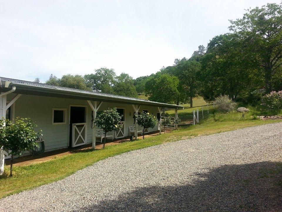 44691 Foxtail Road Coarsegold, CA 93614 - Photo 3 of 60 Gallery Image 3