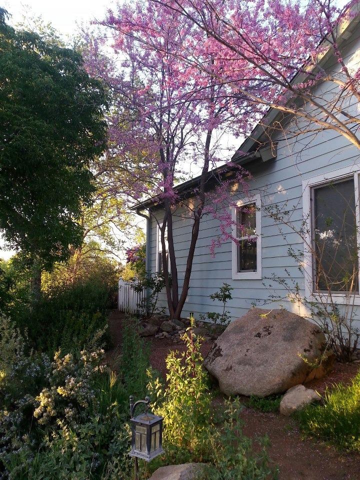 44691 Foxtail Road Coarsegold, CA 93614 - Photo 6 of 60 Gallery Image 6
