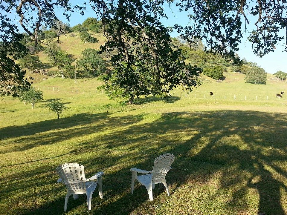 44691 Foxtail Road Coarsegold, CA 93614 - Photo 10 of 60 Gallery Image 10