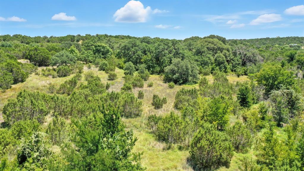 Tbd Compass Way Bluff Dale, TX 76433 - Photo 13 of 23 a view of a green field with lots of bushes