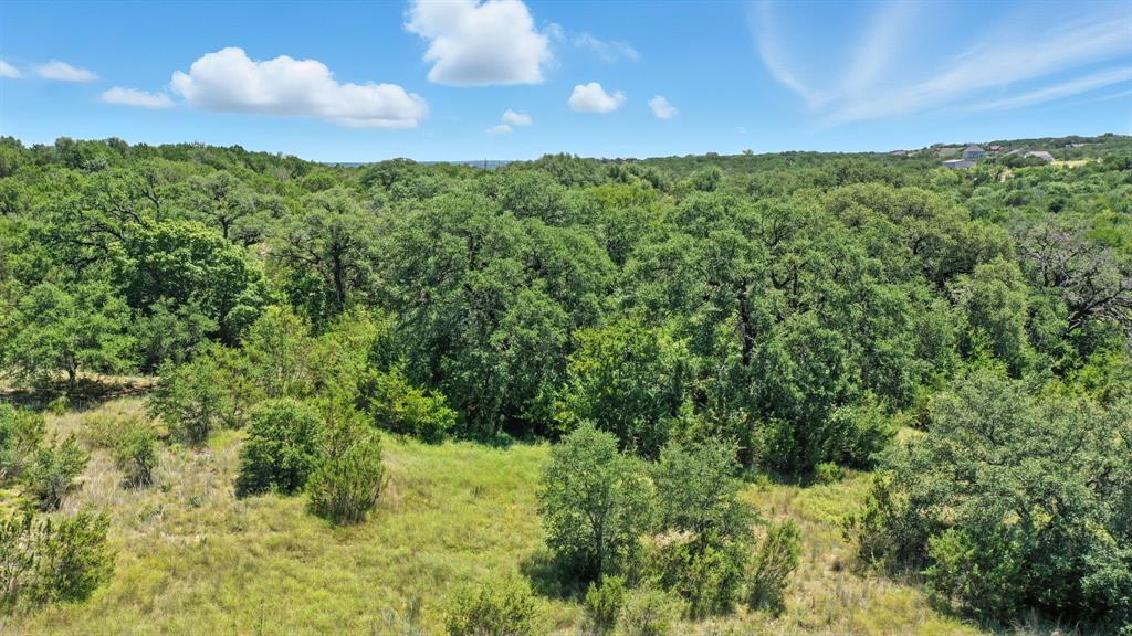 Tbd Compass Way Bluff Dale, TX 76433 - Photo 4 of 23 a view of a bunch of trees and bushes